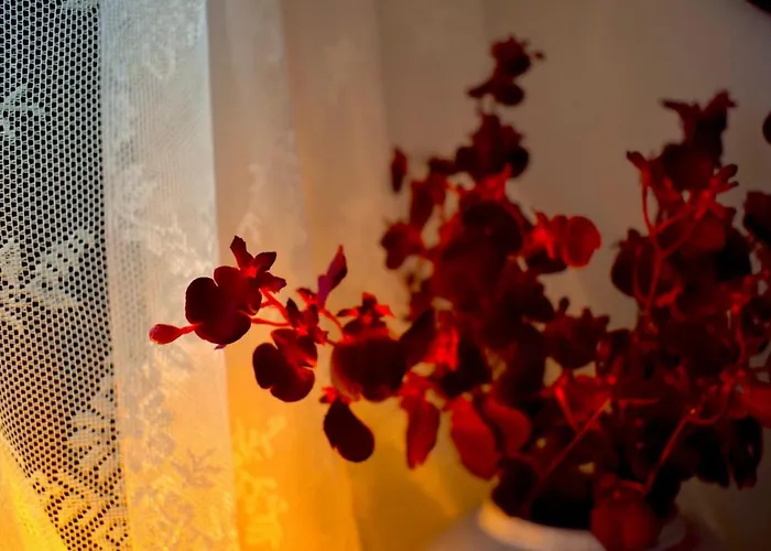 Carmen Art Rhodes City